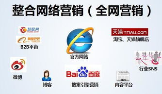 德城區(qū)關(guān)鍵詞快排公司,電商平臺(tái)見(jiàn)效快